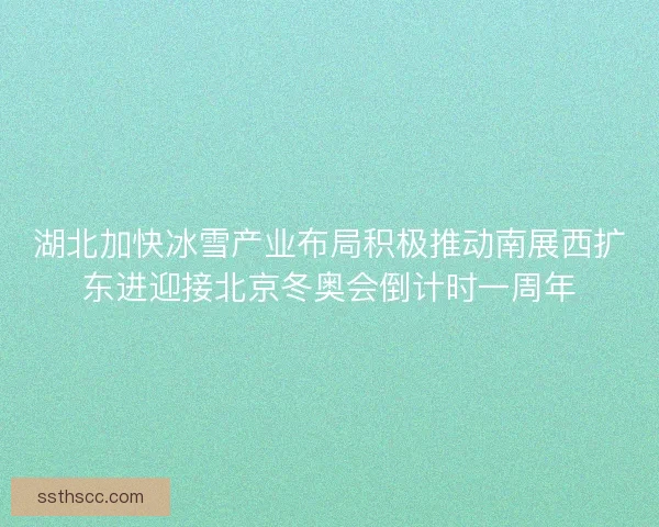 湖北加快冰雪产业布局积极推动南展西扩东进迎接北京冬奥会倒计时一周年